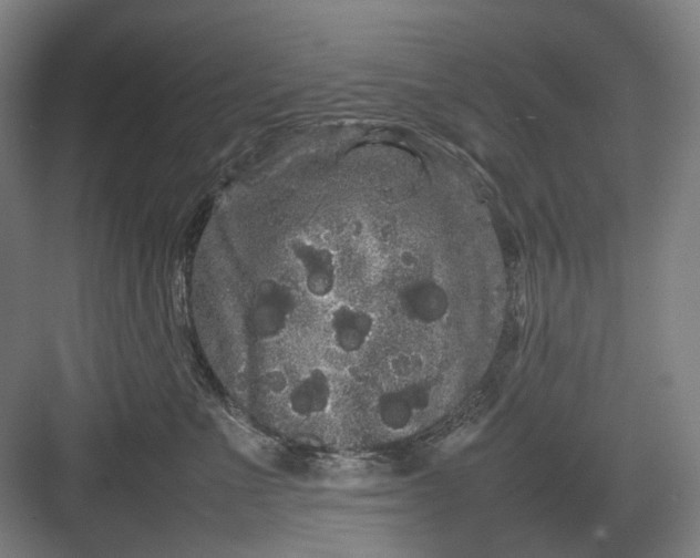 X0000082940523200702152217