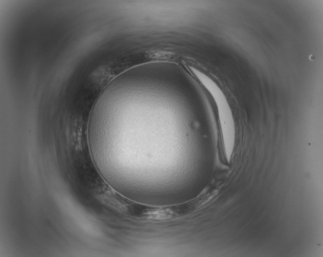 X0000082940525200702152217