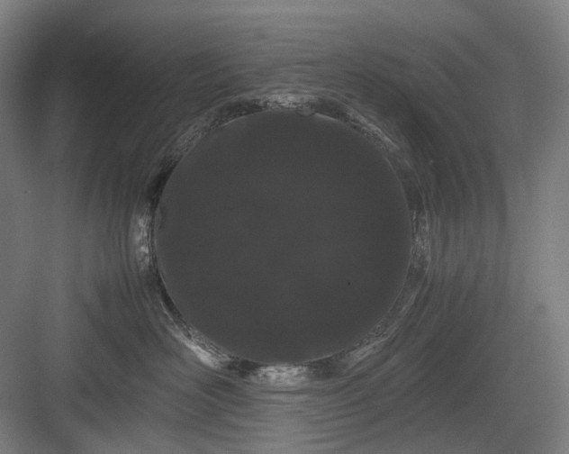 X0000082940526200702152217