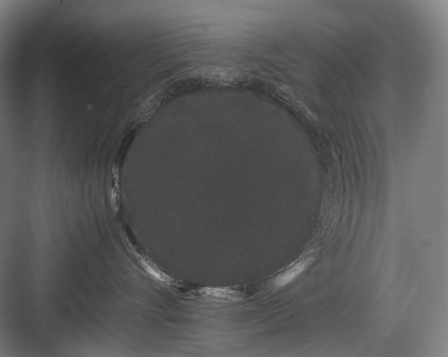 X0000082940528200702152217