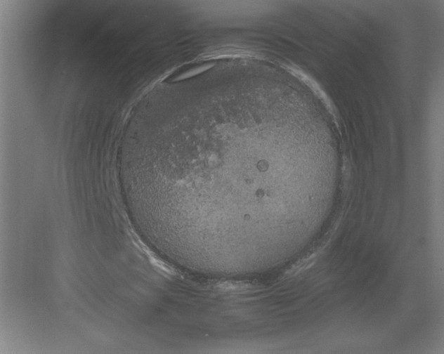 X0000082940529200702152216