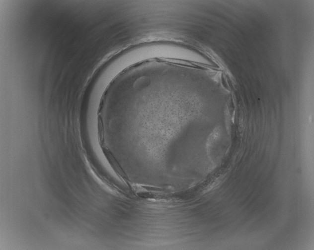 X0000082940530200702152216