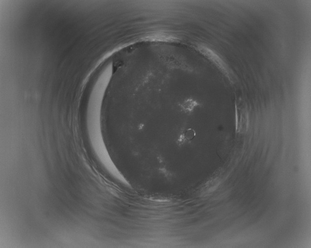 X0000082940531200702152216