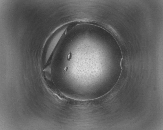 X0000082940532200702152216