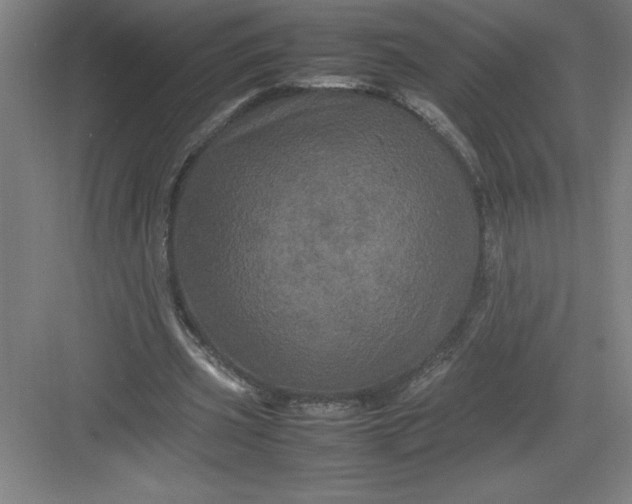 X0000082940533200702152216