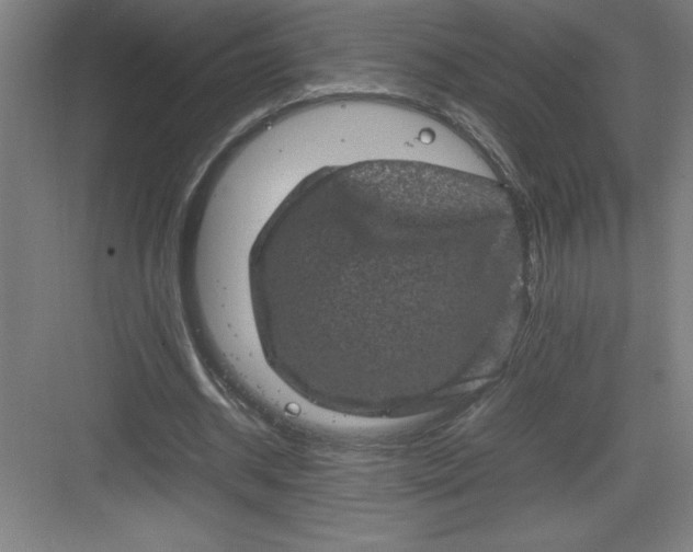 X0000082940534200702152216