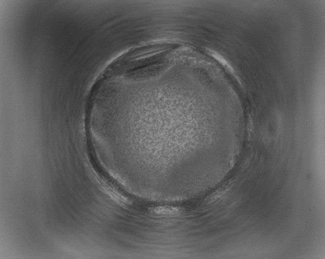 X0000082940535200702152216