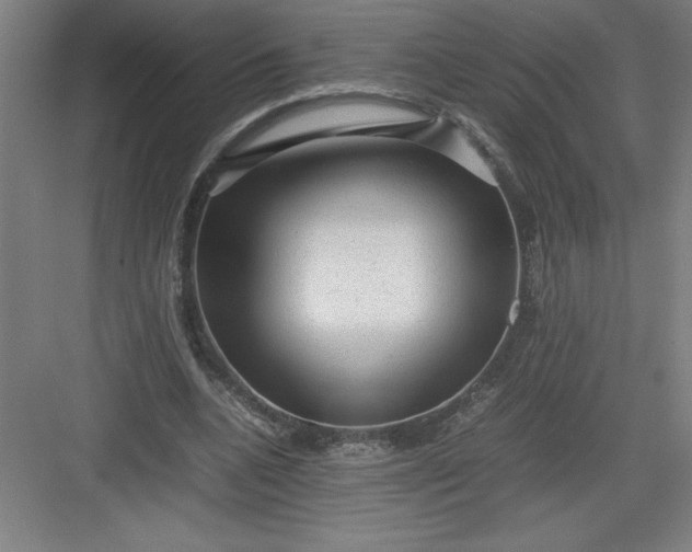 X0000082940536200702152216