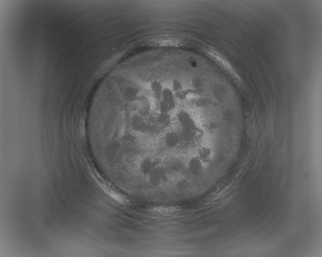 X0000082940537200702152216