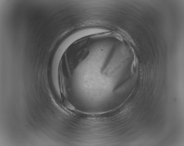 X0000082940538200702152216