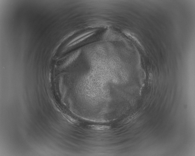 X0000082940539200702152216