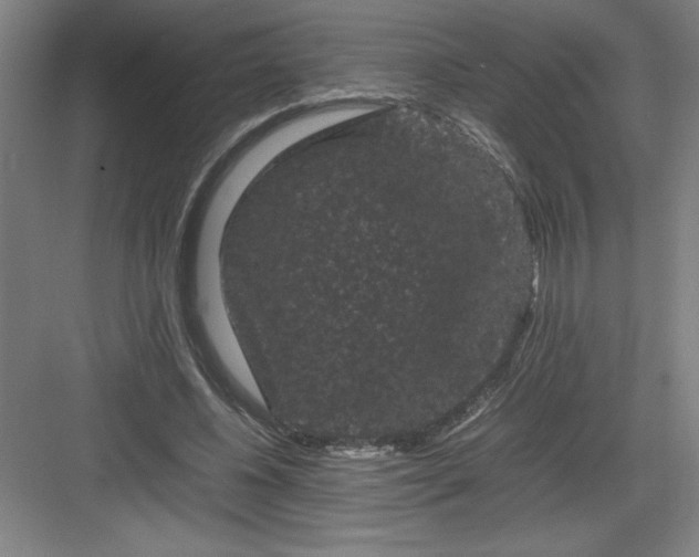 X0000082940540200702152217