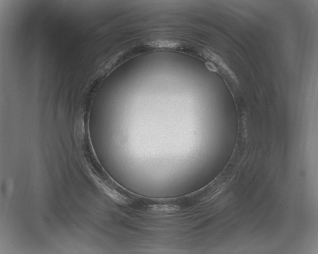 X0000082940541200702152217