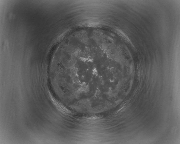 X0000082940542200702152217