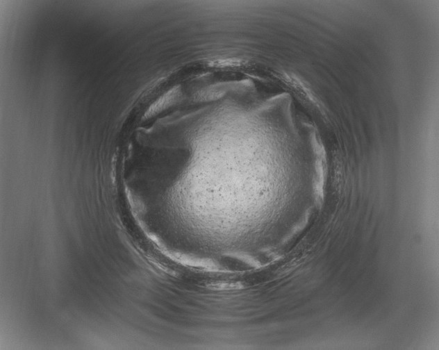 X0000082940543200702152217