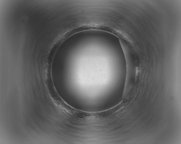 X0000082940544200702152217