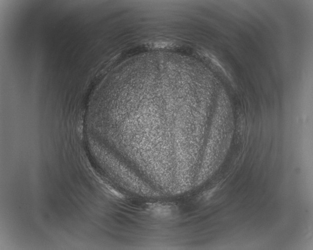 X0000082940545200702152217