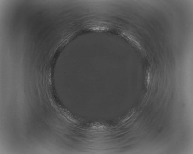 X0000082940547200702152217