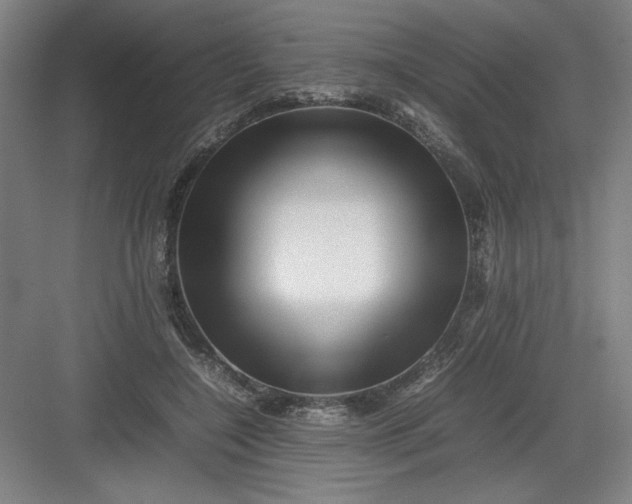 X0000082940548200702152217