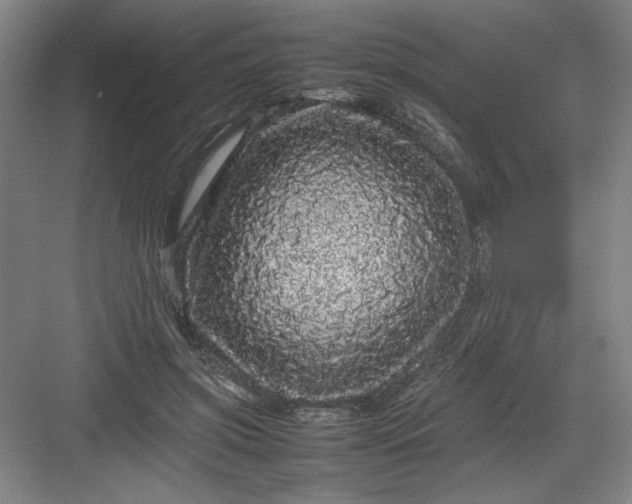 X0000082940549200702152217