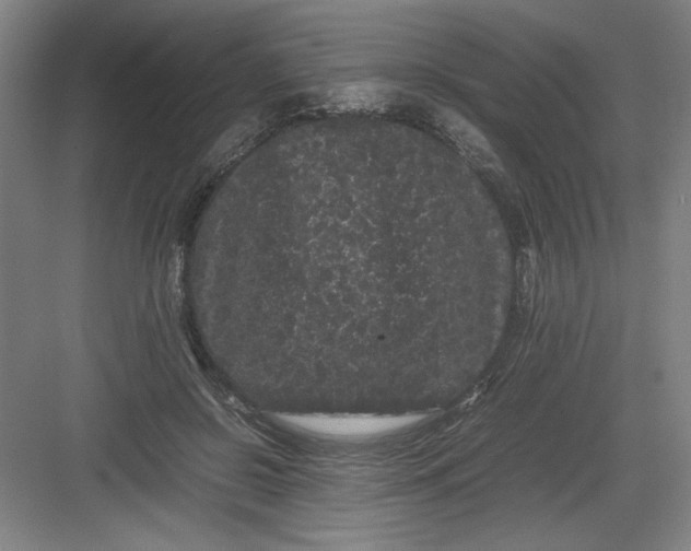 X0000082940550200702152217