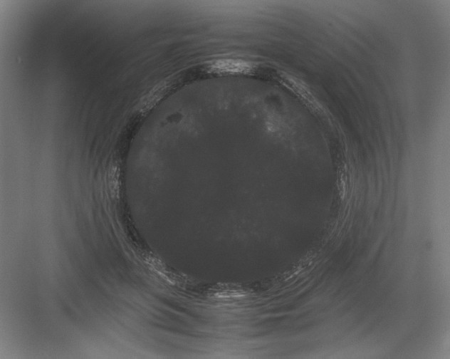 X0000082940551200702152217