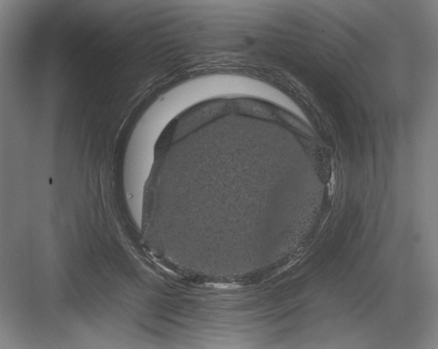 X0000082940552200702152217