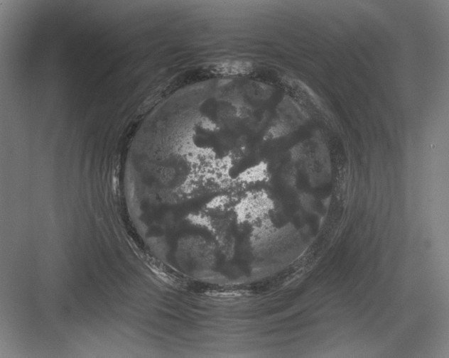 X0000082940553200702152217