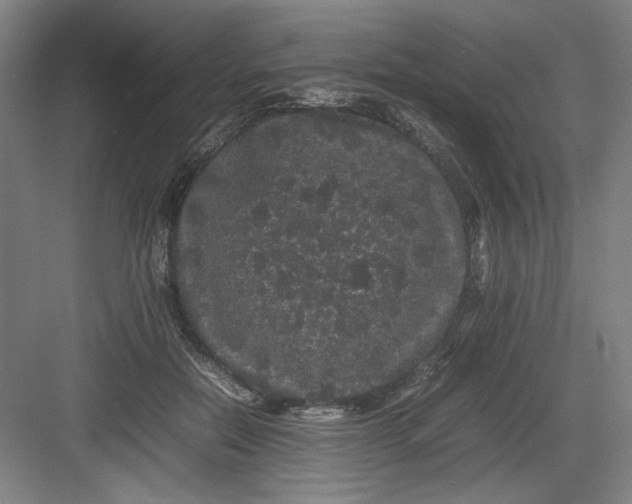 X0000082940554200702152217