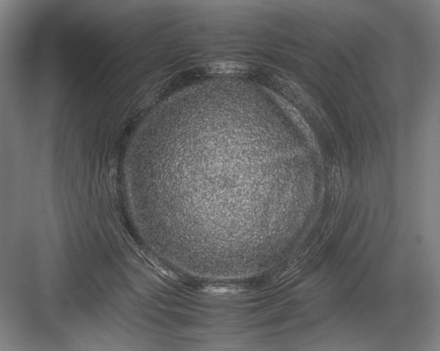 X0000082940557200702152217