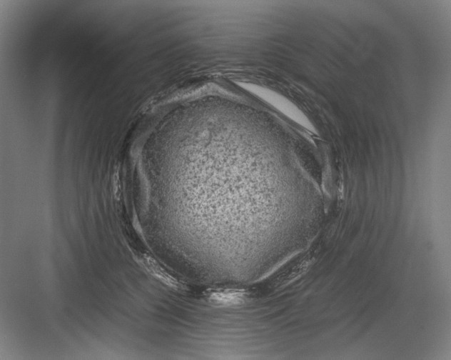 X0000082940560200702152217