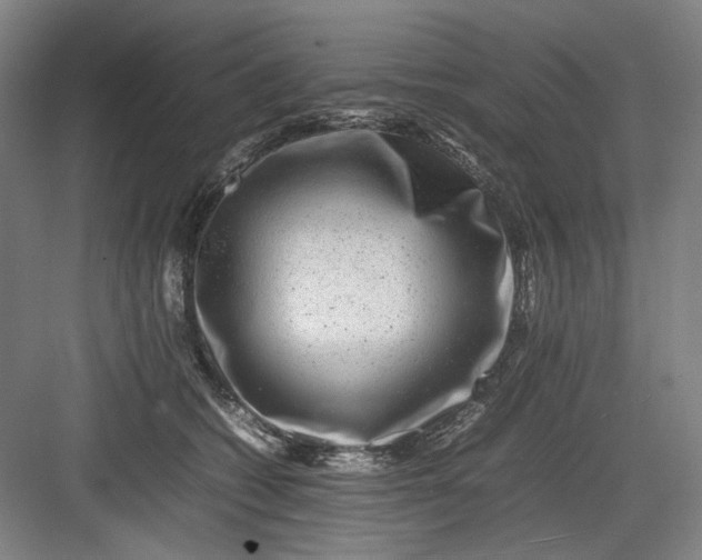 X0000082940562200702152217