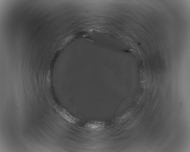 X0000082940563200702152217