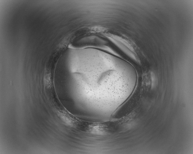 X0000082940564200702152217