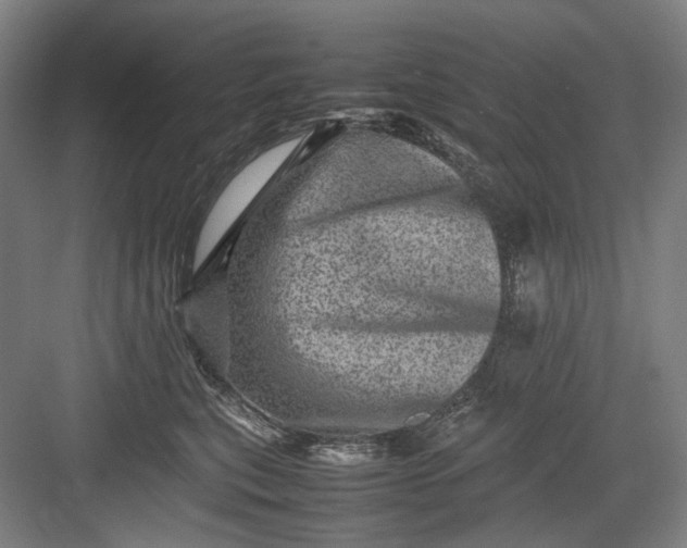 X0000082940567200702152217