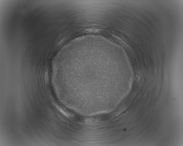 X0000082940568200702152217