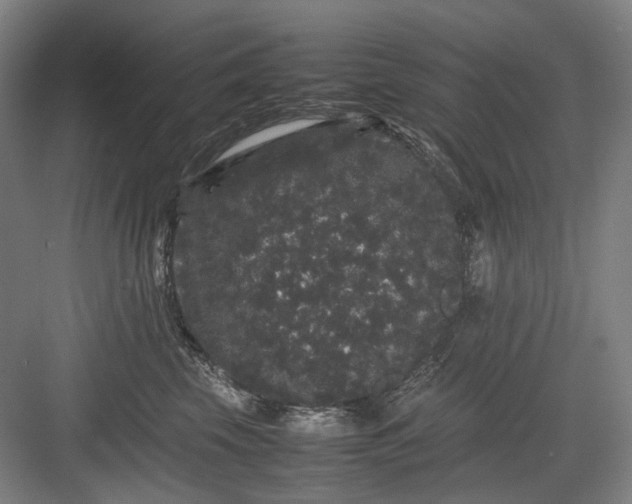 X0000082940569200702152217