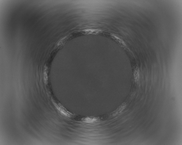 X0000082940570200702152217