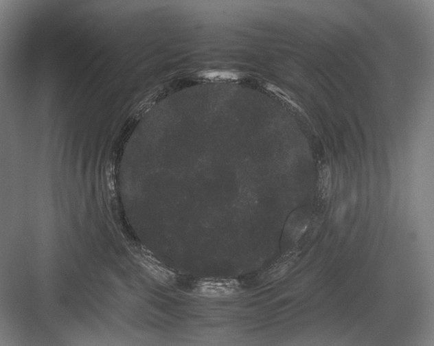 X0000082940571200702152217