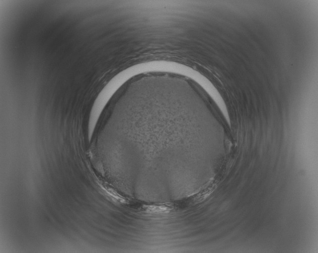 X0000082940572200702152217