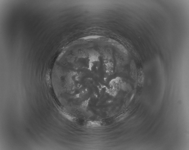 X0000082940573200702152217