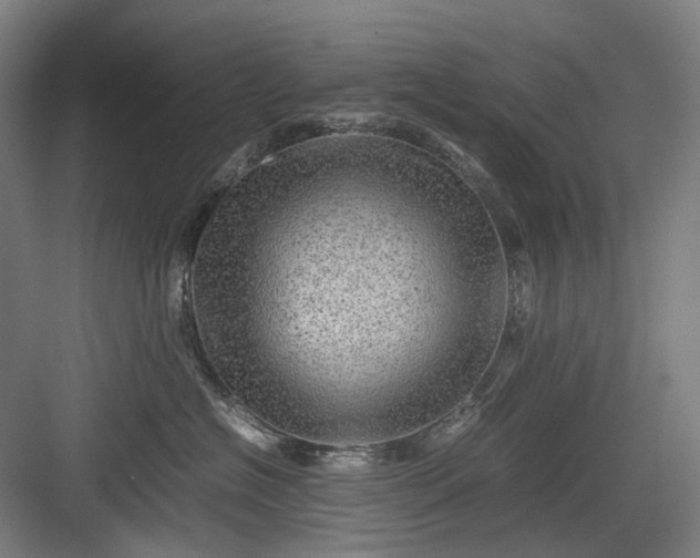 X0000082940574200702152217