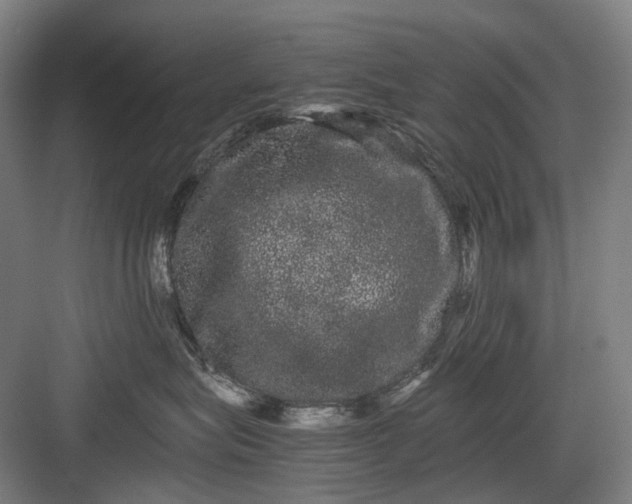 X0000082940575200702152217