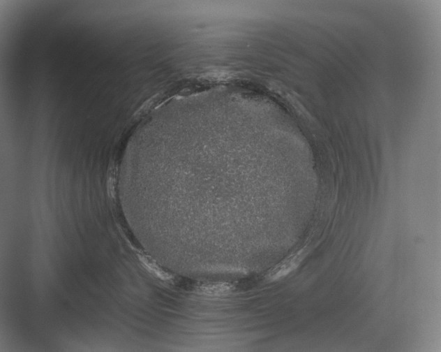 X0000082940576200702152217