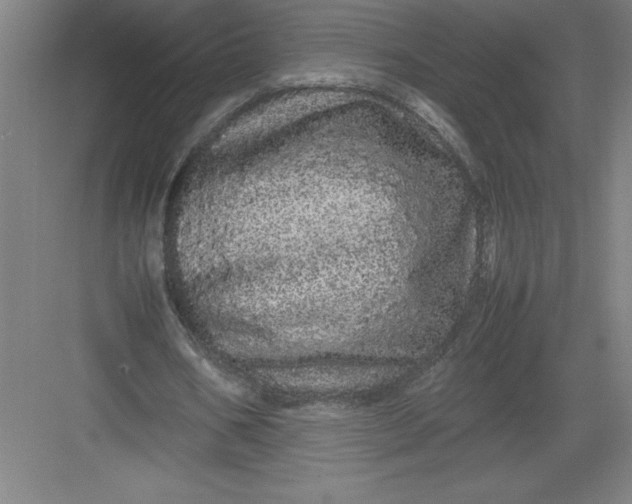 X0000082940578200702152216