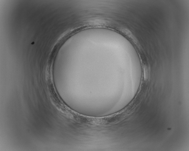 X0000082940579200702152216