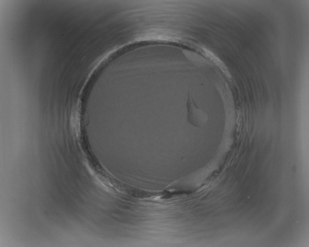 X0000082940580200702152216