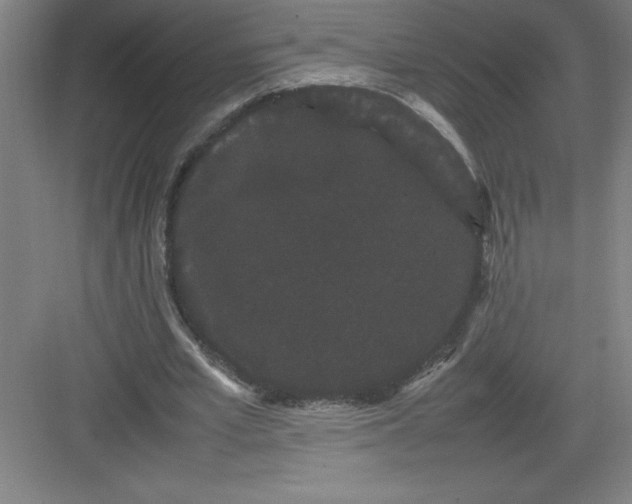 X0000082940581200702152216