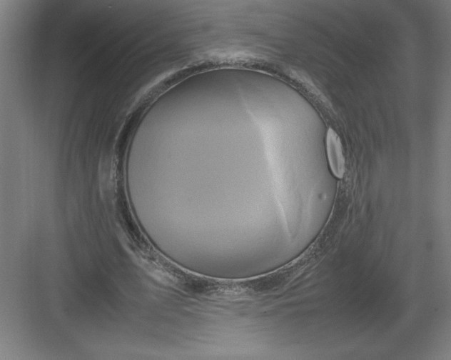 X0000082940583200702152216