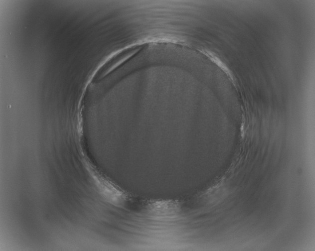 X0000082940584200702152216